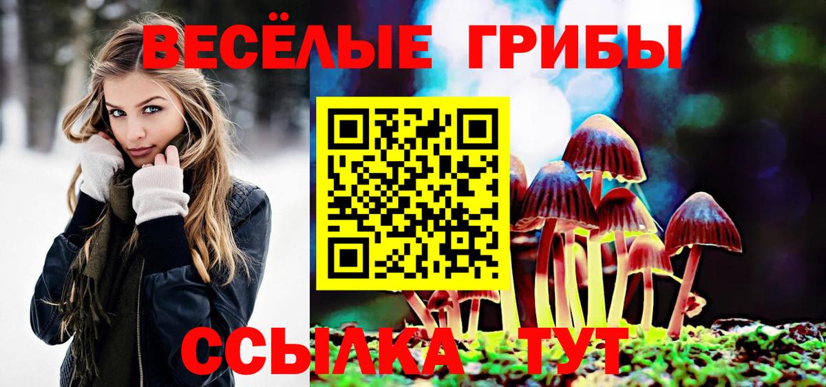 Галлюциногенные грибы GOLDEN TEACHER Камень-на-Оби