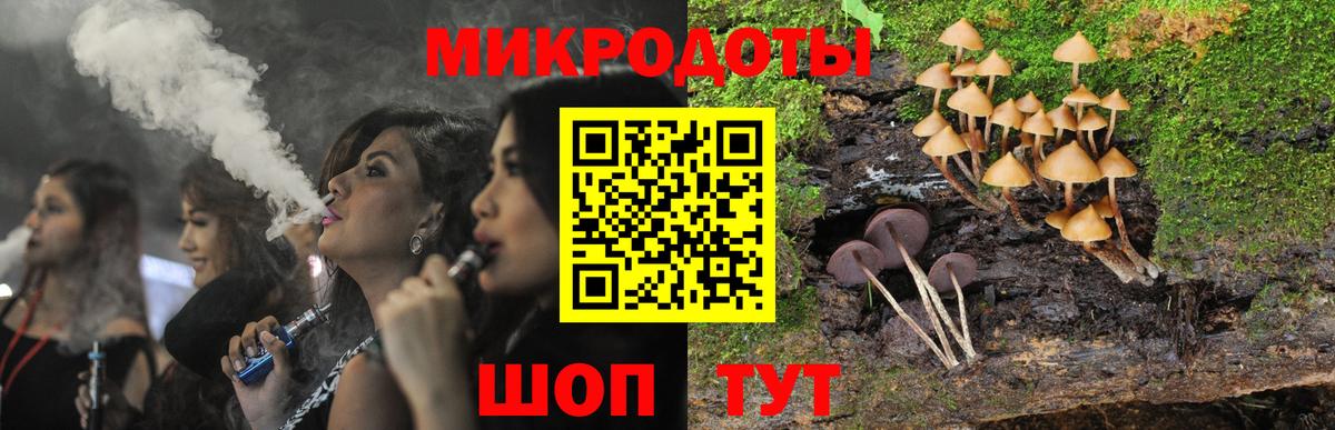 Галлюциногенные грибы Magic Shrooms  Галлюциногенные грибы Psilocybe  Камень-на-Оби  Вход с VPN 